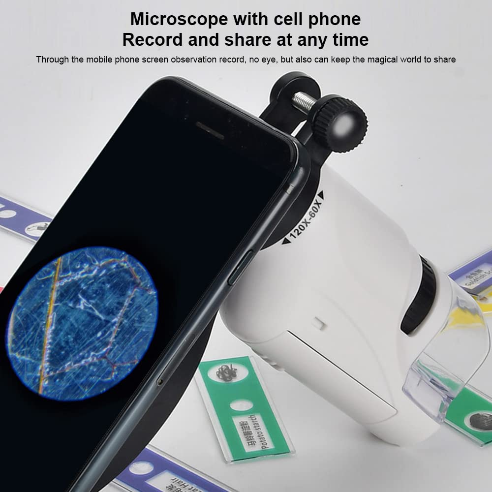 Microscopio Tascabile per Bambini con Luce LED 60X-120X