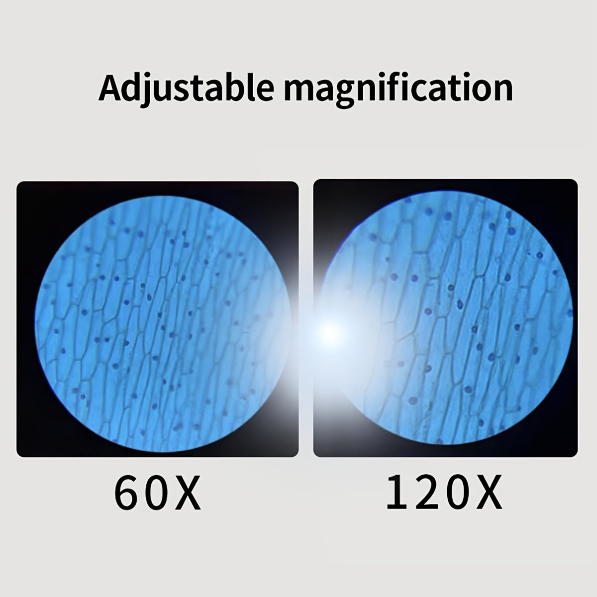 Microscopio Tascabile per Bambini con Luce LED 60X-120X