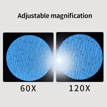 Microscopio Tascabile per Bambini con Luce LED 60X-120X