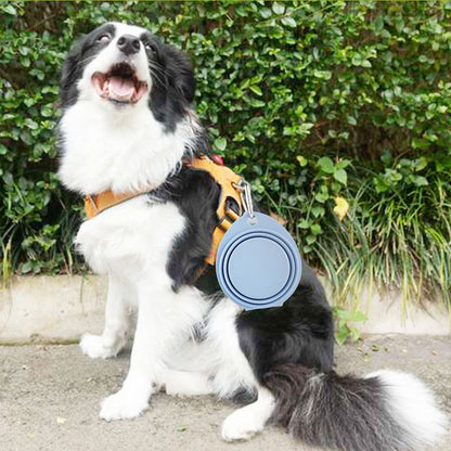 Ciotola Pieghevole in Silicone per Cani e Gatti - Portatile da Viaggio 350ml