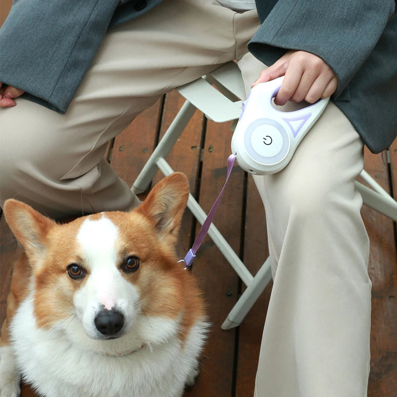 Guinzaglio Retrattile con Luce LED per Cani e Gatti 3M/5M