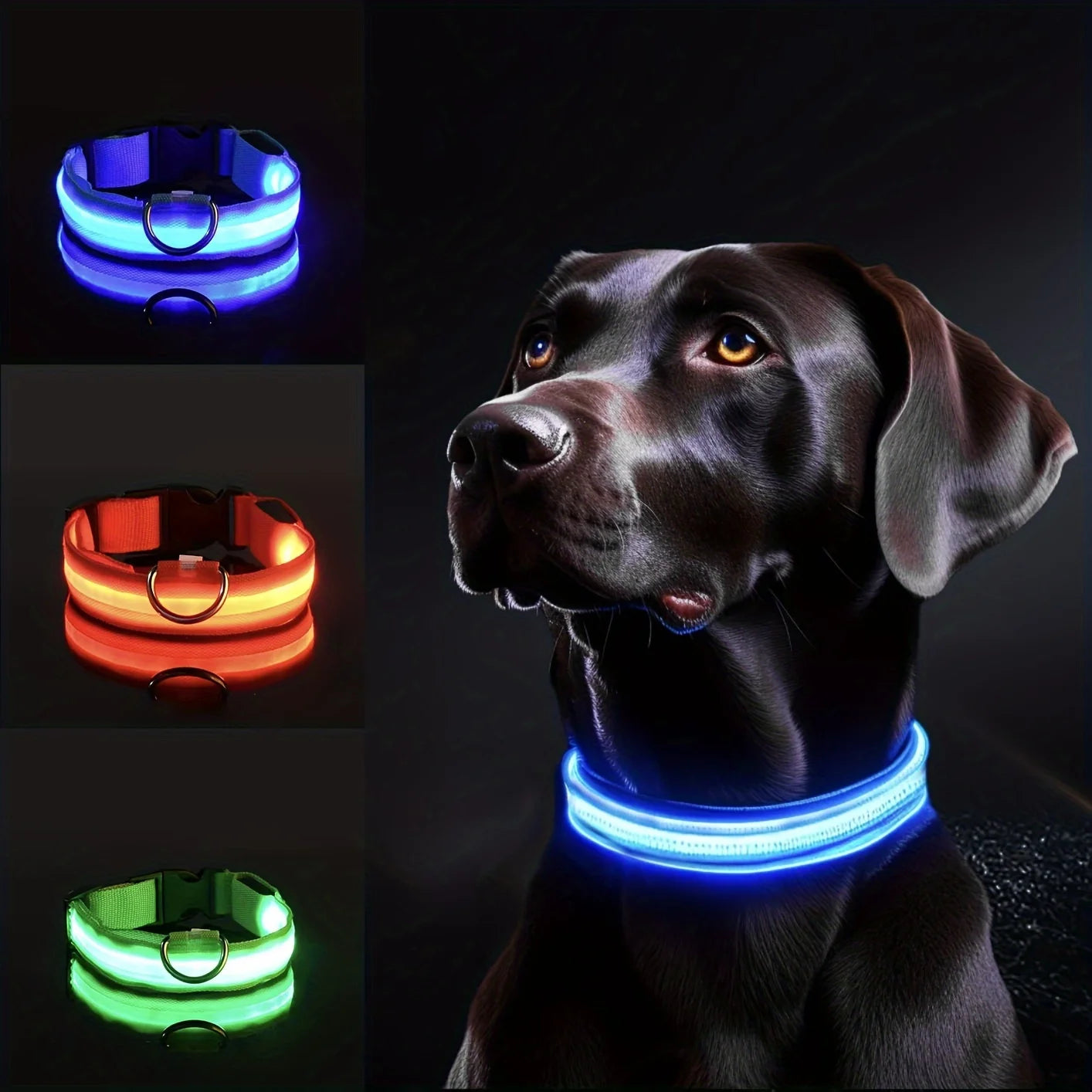 Collare LED Riflettente per Cani con Luce Notturna