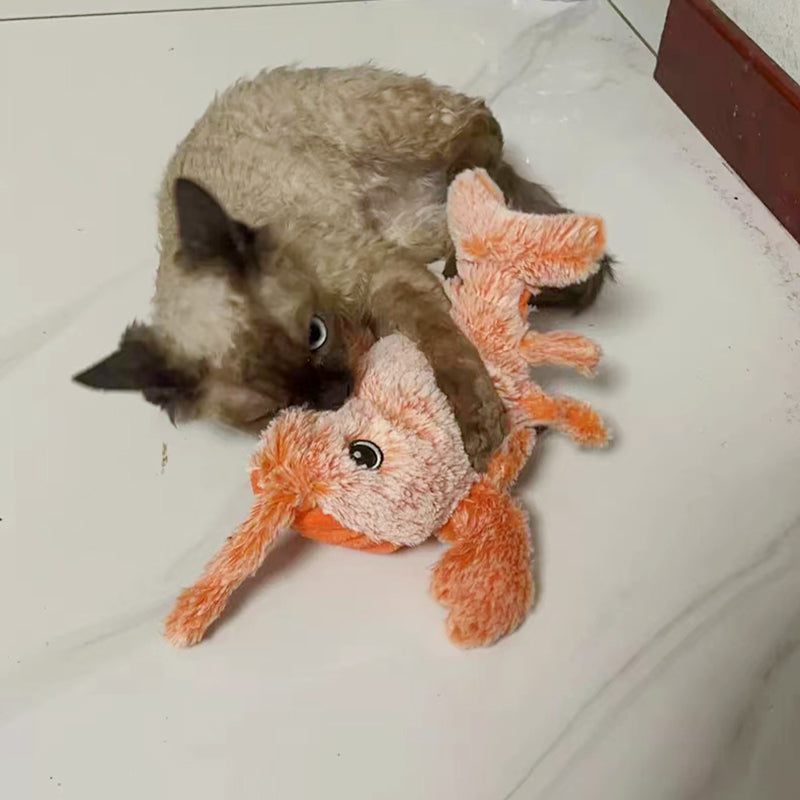 Giocattolo Interattivo Aragosta Elettrica per Gatti con Catnip USB Ricaricabile